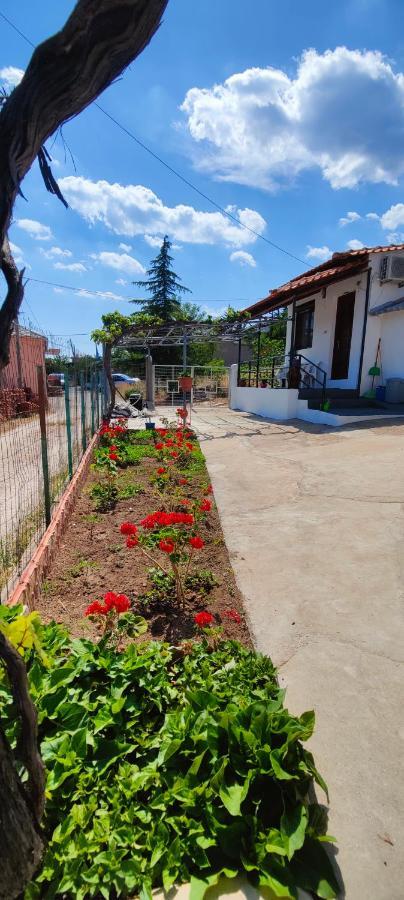 Stella House Villa Theologos  Buitenkant foto